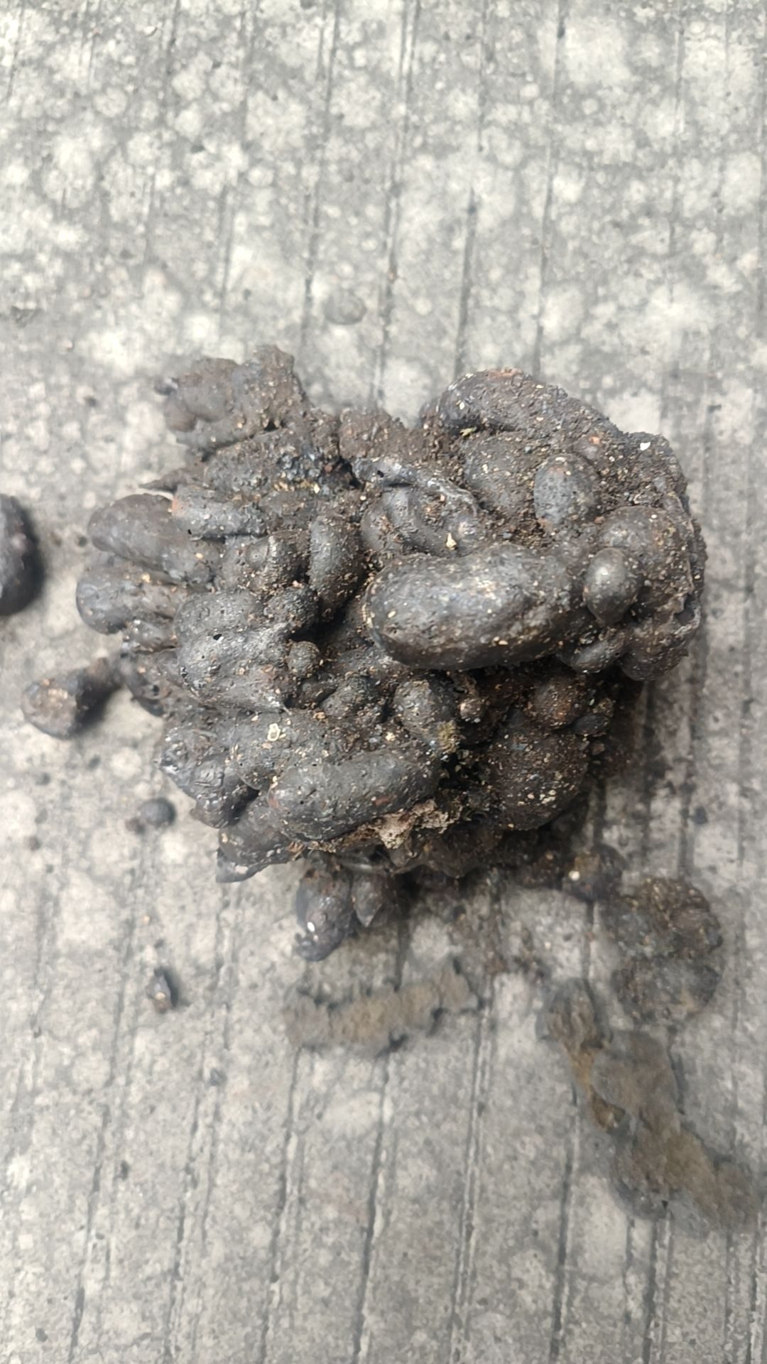 南能模块化可移动式垃圾焚烧设备实拍